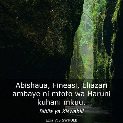 Picture 03 - Ezra 7:5 SWHULB - Abishaua, Fineasi, Eliazari ambaye ni mtoto wa - Bible Verse Picture