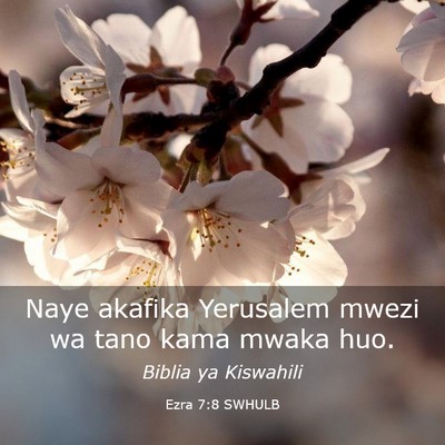 Picture 03 - Ezra 7:8 SWHULB - Naye akafika Yerusalem mwezi wa tano kama mwaka - Bible Verse Picture