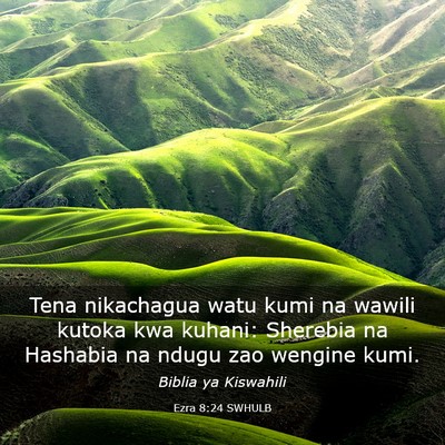 Picture 03 - Ezra 8:24 SWHULB - Tena nikachagua watu kumi na wawili kutoka kwa - Bible Verse Picture