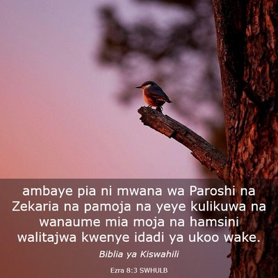 Picture 03 - Ezra 8:3 SWHULB - ambaye pia ni mwana wa Paroshi na Zekaria na - Bible Verse Picture