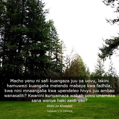 Picture 03 - Habakuki 1:13 SWHULB - Macho yenu ni safi kuangaza juu ya uovu, lakini - Bible Verse Picture