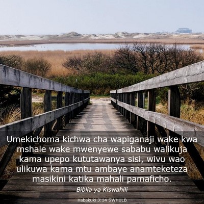 Picture 03 - Habakuki 3:14 SWHULB - Umekichoma kichwa cha wapiganaji wake kwa mshale - Bible Verse Picture