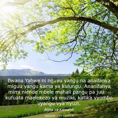 Picture 03 - Habakuki 3:19 SWHULB - Bwana Yahwe ni nguvu yangu na anaifanya miguu - Bible Verse Picture