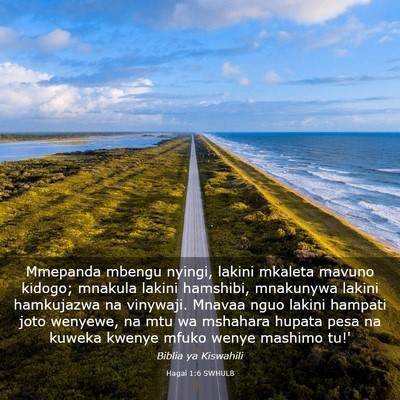 Picture 03 - Hagai 1:6 SWHULB - Mmepanda mbengu nyingi, lakini mkaleta mavuno - Bible Verse Picture