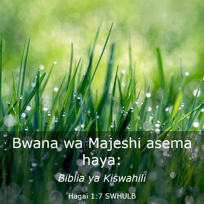 Picture 03 - Hagai 1:7 SWHULB - Bwana wa Majeshi asema - Bible Verse Picture