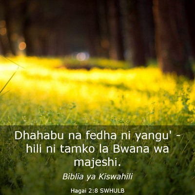Picture 03 - Hagai 2:8 SWHULB - Dhahabu na fedha ni yangu' - hili ni tamko la - Bible Verse Picture