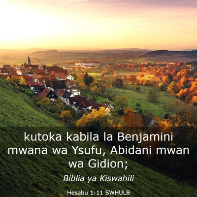 Picture 03 - Hesabu 1:11 SWHULB - kutoka kabila la Benjamini mwana wa Ysufu, - Bible Verse Picture