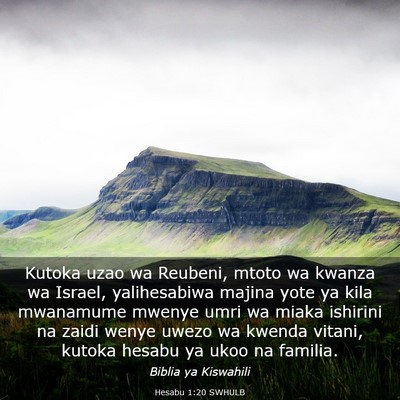 Picture 03 - Hesabu 1:20 SWHULB - Kutoka uzao wa Reubeni, mtoto wa kwanza wa - Bible Verse Picture