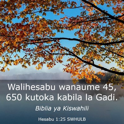 Picture 03 - Hesabu 1:25 SWHULB - Walihesabu wanaume 45, 650 kutoka kabila la - Bible Verse Picture