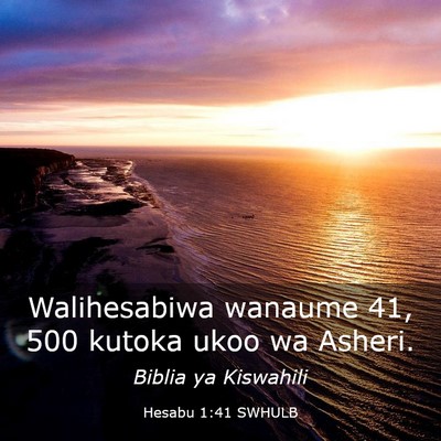 Picture 03 - Hesabu 1:41 SWHULB - Walihesabiwa wanaume 41, 500 kutoka ukoo wa - Bible Verse Picture