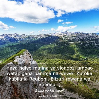 Picture 03 - Hesabu 1:5 SWHULB - Haya ndiyo majina ya viongozi ambao watapigana - Bible Verse Picture