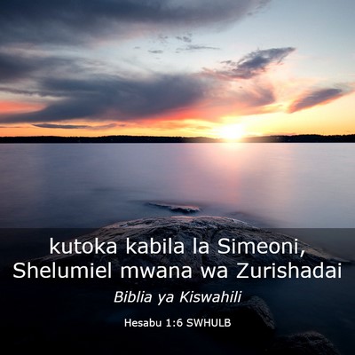 Picture 03 - Hesabu 1:6 SWHULB - kutoka kabila la Simeoni, Shelumiel mwana wa - Bible Verse Picture