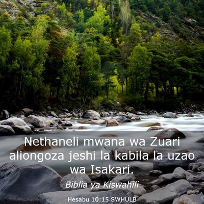 Picture 03 - Hesabu 10:15 SWHULB - Nethaneli mwana wa Zuari aliongoza jeshi la - Bible Verse Picture