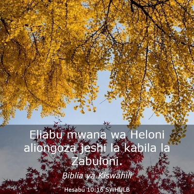 Picture 03 - Hesabu 10:16 SWHULB - Eliabu mwana wa Heloni aliongoza jeshi la kabila - Bible Verse Picture