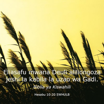 Picture 03 - Hesabu 10:20 SWHULB - Eliasafu mwana Deuli aliliongoza jeshi la kabila - Bible Verse Picture