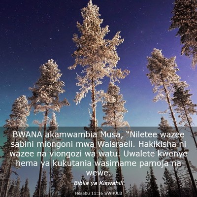 Picture 03 - Hesabu 11:16 SWHULB - BWANA akamwambia Musa, “Niletee wazee sabini - Bible Verse Picture