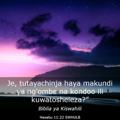 Picture 03 - Hesabu 11:22 SWHULB - Je, tutayachinja haya makundi ya ng'ombe na - Bible Verse Picture