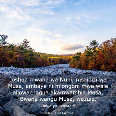 Picture 03 - Hesabu 11:28 SWHULB - Joshua mwana wa Nuni, msaidizi wa Musa, ambaye ni - Bible Verse Picture
