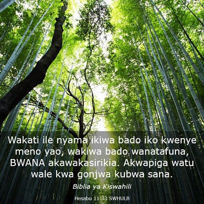 Picture 03 - Hesabu 11:33 SWHULB - Wakati ile nyama ikiwa bado iko kwenye meno yao, - Bible Verse Picture
