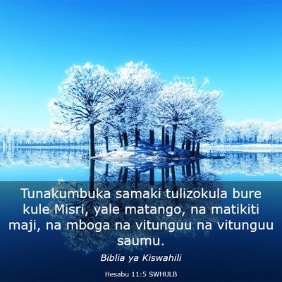 Picture 03 - Hesabu 11:5 SWHULB - Tunakumbuka samaki tulizokula bure kule Misri, - Bible Verse Picture