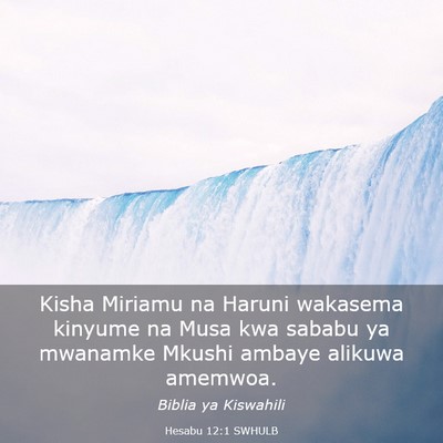 Picture 03 - Hesabu 12:1 SWHULB - Kisha Miriamu na Haruni wakasema kinyume na Musa - Bible Verse Picture