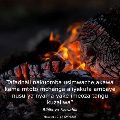 Picture 03 - Hesabu 12:12 SWHULB - Tafadhali nakuomba usimwache akawa kama mtoto - Bible Verse Picture