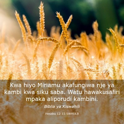 Picture 03 - Hesabu 12:15 SWHULB - Kwa hiyo Miriamu akafungiwa nje ya kambi kwa siku - Bible Verse Picture