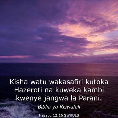 Picture 03 - Hesabu 12:16 SWHULB - Kisha watu wakasafiri kutoka Hazeroti na kuweka - Bible Verse Picture