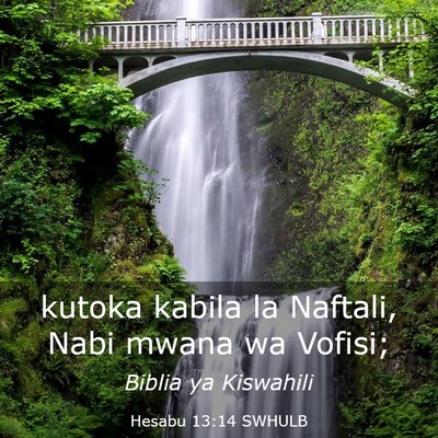 Picture 03 - Hesabu 13:14 SWHULB - kutoka kabila la Naftali, Nabi mwana wa - Bible Verse Picture