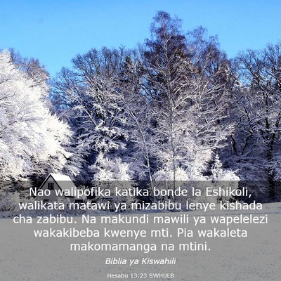 Picture 03 - Hesabu 13:23 SWHULB - Nao walipofika katika bonde la Eshikoli, walikata - Bible Verse Picture