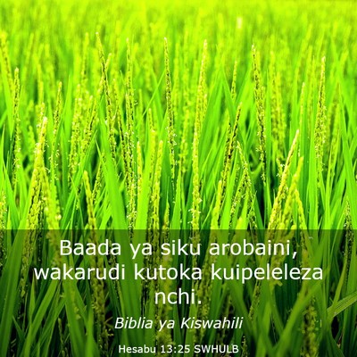Picture 03 - Hesabu 13:25 SWHULB - Baada ya siku arobaini, wakarudi kutoka - Bible Verse Picture