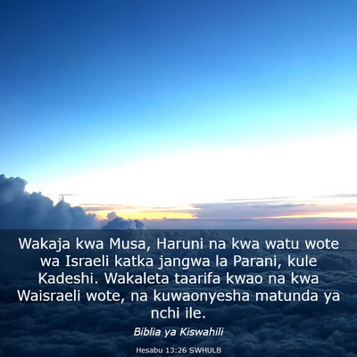 Picture 03 - Hesabu 13:26 SWHULB - Wakaja kwa Musa, Haruni na kwa watu wote wa - Bible Verse Picture