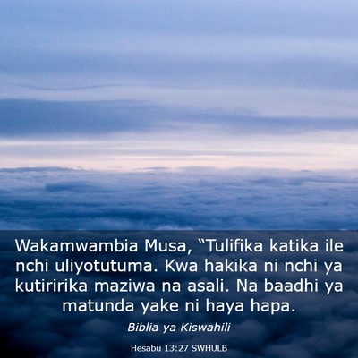 Picture 03 - Hesabu 13:27 SWHULB - Wakamwambia Musa, “Tulifika katika ile nchi - Bible Verse Picture
