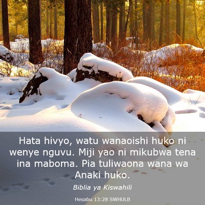 Picture 03 - Hesabu 13:28 SWHULB - Hata hivyo, watu wanaoishi huko ni wenye nguvu. - Bible Verse Picture