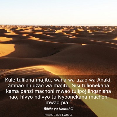Picture 03 - Hesabu 13:33 SWHULB - Kule tuliiona majitu, wana wa uzao wa Anaki, - Bible Verse Picture