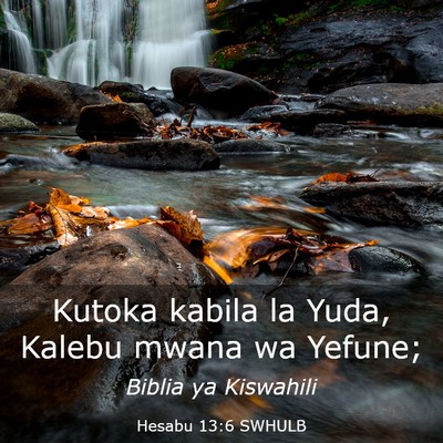 Picture 03 - Hesabu 13:6 SWHULB - Kutoka kabila la Yuda, Kalebu mwana wa - Bible Verse Picture
