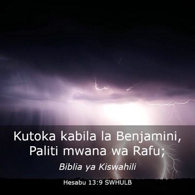 Picture 03 - Hesabu 13:9 SWHULB - Kutoka kabila la Benjamini, Paliti mwana wa - Bible Verse Picture
