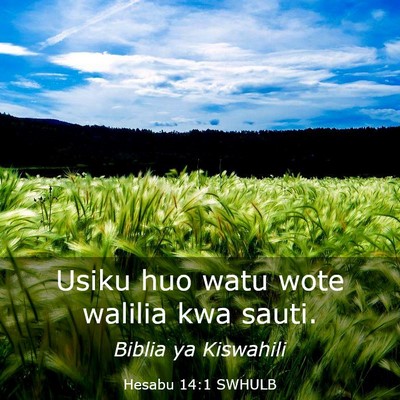 Picture 03 - Hesabu 14:1 SWHULB - Usiku huo watu wote walilia kwa - Bible Verse Picture
