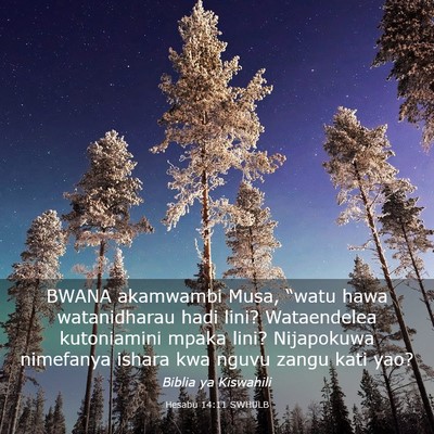 Picture 03 - Hesabu 14:11 SWHULB - BWANA akamwambi Musa, “watu hawa watanidharau - Bible Verse Picture
