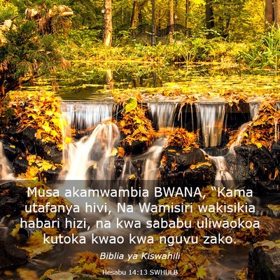 Picture 03 - Hesabu 14:13 SWHULB - Musa akamwambia BWANA, “Kama utafanya hivi, Na - Bible Verse Picture