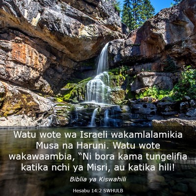 Picture 03 - Hesabu 14:2 SWHULB - Watu wote wa Israeli wakamlalamikia Musa na - Bible Verse Picture