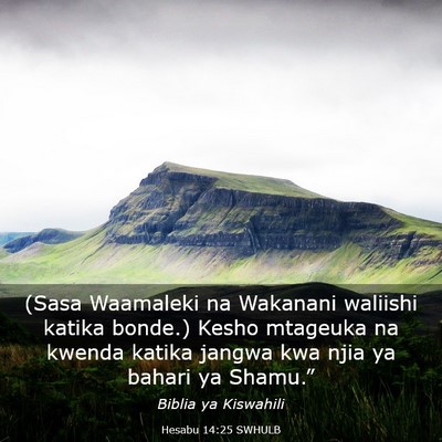 Picture 03 - Hesabu 14:25 SWHULB - (Sasa Waamaleki na Wakanani waliishi katika - Bible Verse Picture