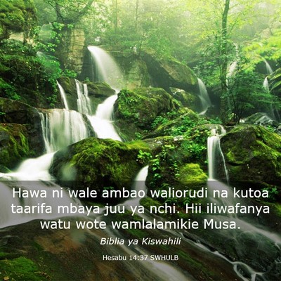 Picture 03 - Hesabu 14:37 SWHULB - Hawa ni wale ambao waliorudi na kutoa taarifa - Bible Verse Picture