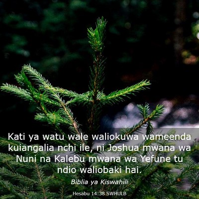 Picture 03 - Hesabu 14:38 SWHULB - Kati ya watu wale waliokuwa wameenda kuiangalia - Bible Verse Picture