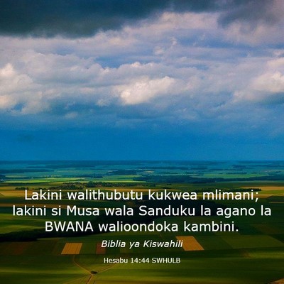 Picture 03 - Hesabu 14:44 SWHULB - Lakini walithubutu kukwea mlimani; lakini si Musa - Bible Verse Picture