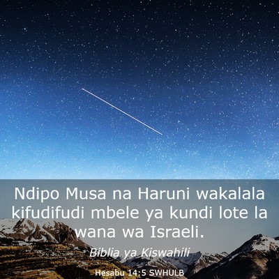 Picture 03 - Hesabu 14:5 SWHULB - Ndipo Musa na Haruni wakalala kifudifudi mbele ya - Bible Verse Picture