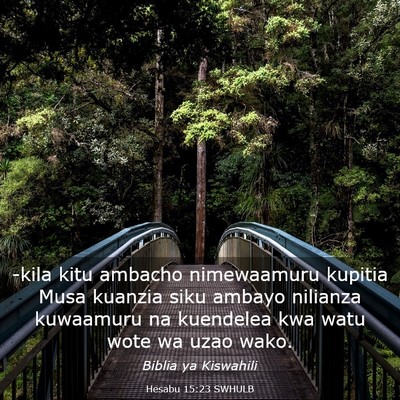 Picture 03 - Hesabu 15:23 SWHULB - -kila kitu ambacho nimewaamuru kupitia Musa - Bible Verse Picture