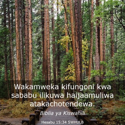 Picture 03 - Hesabu 15:34 SWHULB - Wakamweka kifungoni kwa sababu ilikuwa - Bible Verse Picture