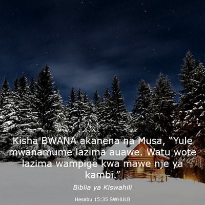 Picture 03 - Hesabu 15:35 SWHULB - Kisha BWANA akanena na Musa, “Yule mwanamume - Bible Verse Picture