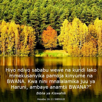 Picture 03 - Hesabu 16:11 SWHULB - Hiyo ndiyo sababu wewe na kundi lako mmekusanyika - Bible Verse Picture